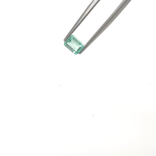 Esmerlada EM-VE-ES1