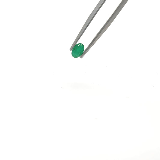 Esmeralda EM-VE-OV1