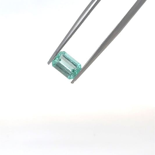 Esmerlada EM-VE-ES2