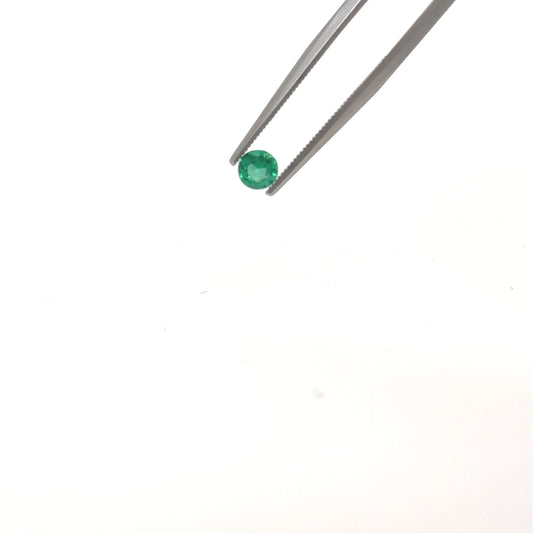 Esmerlada EM-VE-RE1
