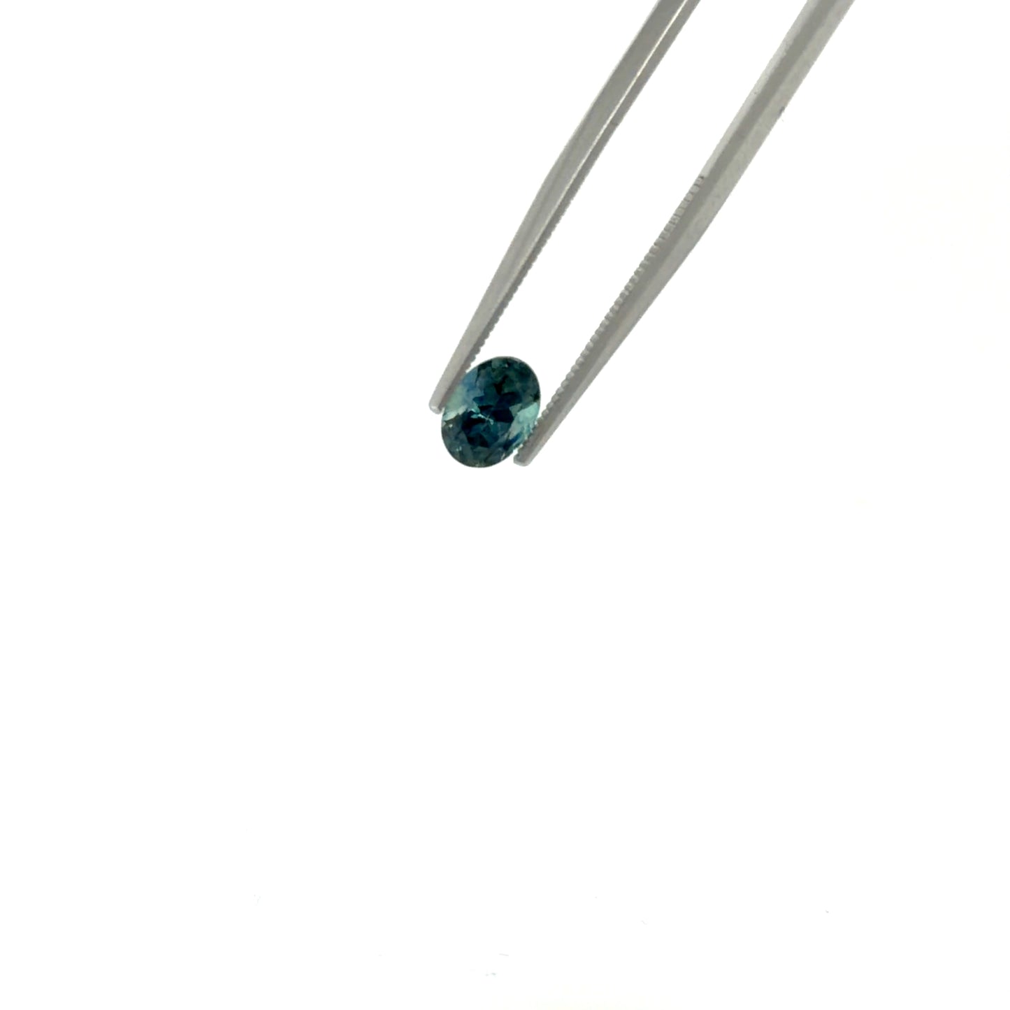 Zafiro Bicolor ZA-BI-OV2
