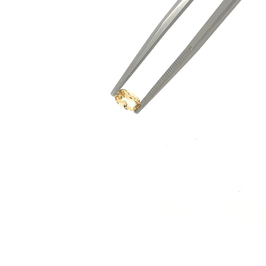 Topacios amarillo TO-AM-OV1